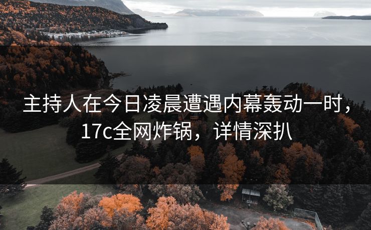 主持人在今日凌晨遭遇内幕轰动一时，17c全网炸锅，详情深扒
