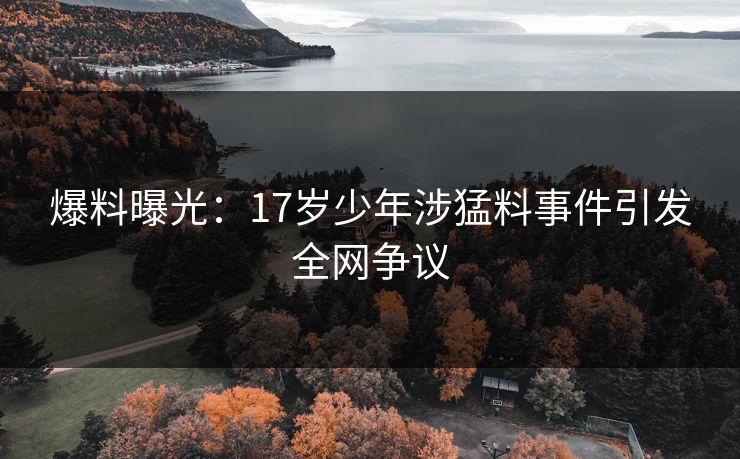 爆料曝光：17岁少年涉猛料事件引发全网争议