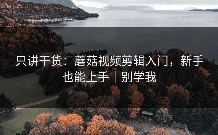 只讲干货:蘑菇视频剪辑入门,新手也能上手|别学我